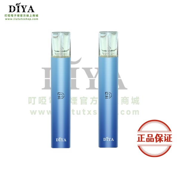 DIYA 叮啞一代主機