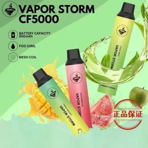 VAPOR STORM 風暴 CF5000 發光拋棄式電子煙