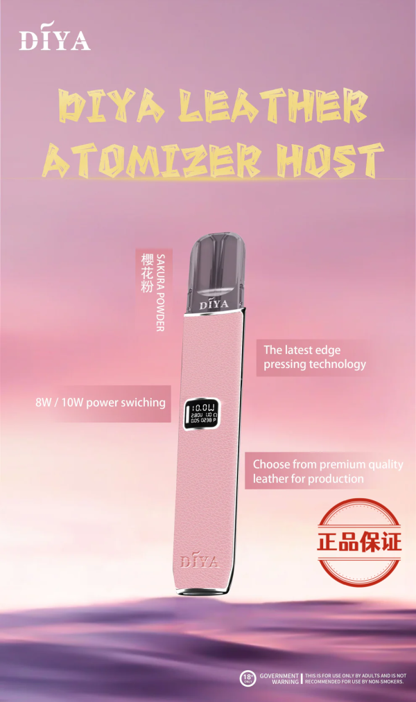 DIYA 叮啞 皮革一代主機