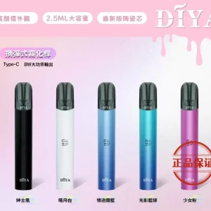 DIYA 叮啞一代主機：圖片 7