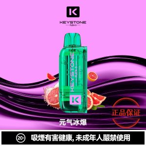 钥石 KEYSTONE FLEX-3 25000口 專彈專機套裝：圖片 4