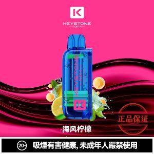 钥石 KEYSTONE FLEX-3 25000口 專彈專機套裝：圖片 8