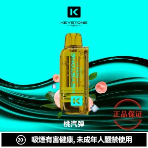 钥石 KEYSTONE FLEX-3 25000口 專彈專機套裝：圖片 9