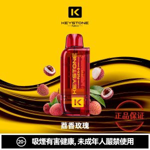 钥石 KEYSTONE FLEX-3 25000口 專彈專機套裝：圖片 10